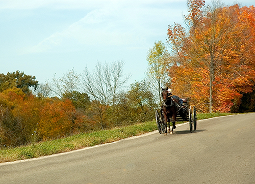 Thumbnail image for: October 20: Fall Fun in Sugarcreek “The Little Switzerland of Ohio”