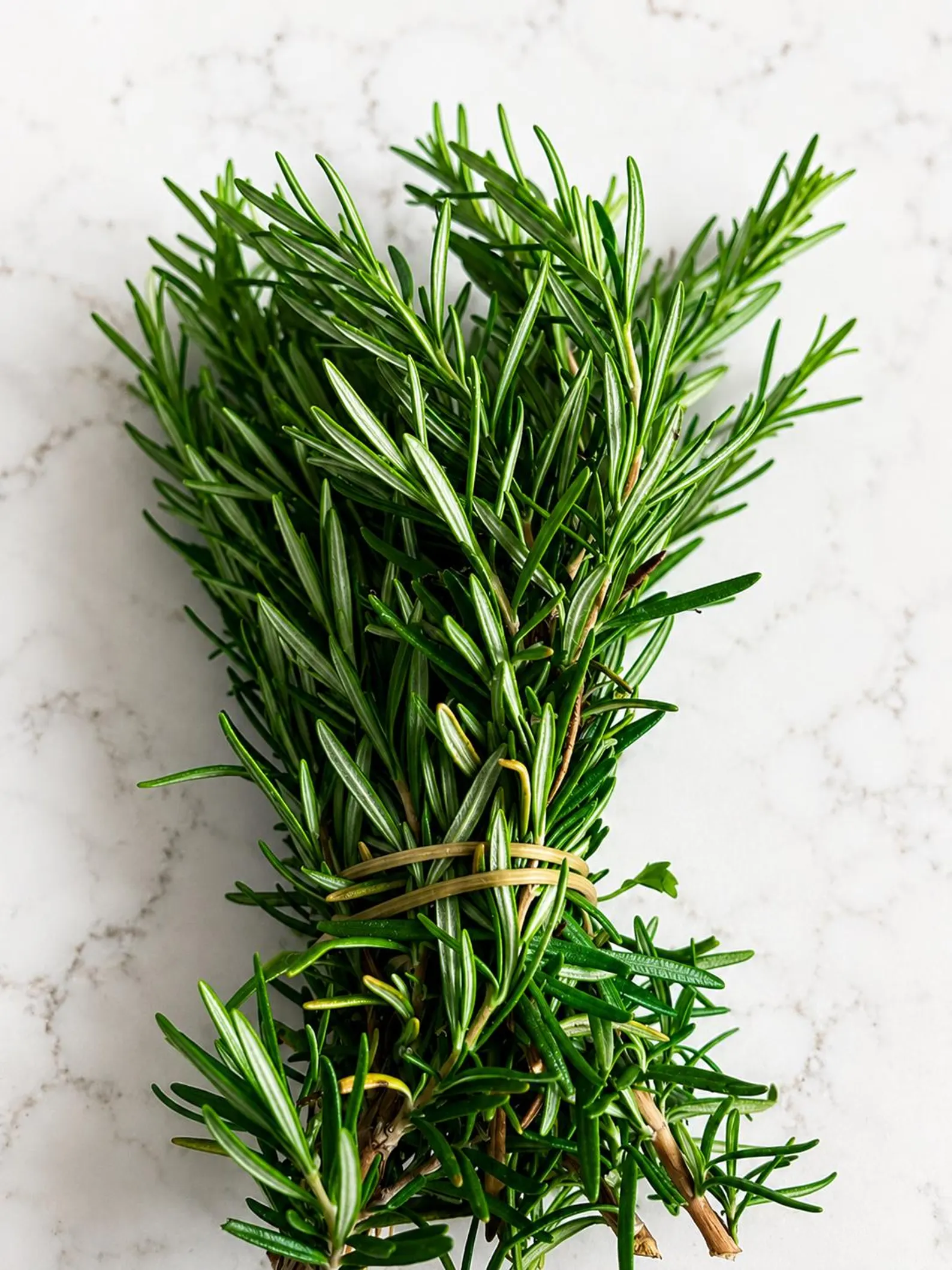Thumbnail image for: November 18: Spice it Up! Rosemary Part 2